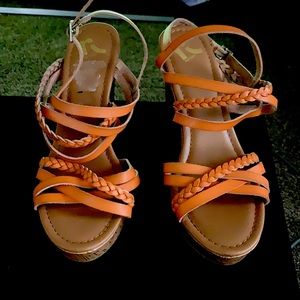 Brownish/orange wedges